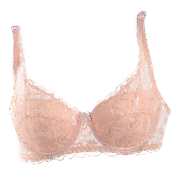 Padded Lace Sheer Bra