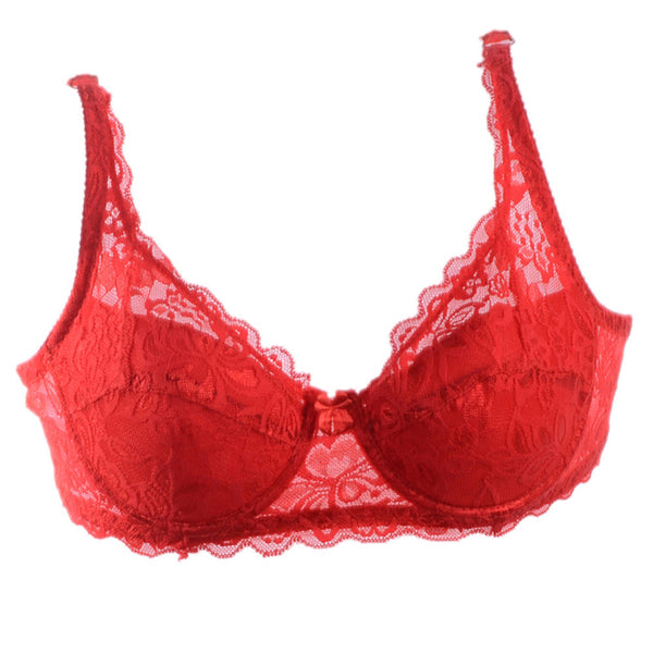 Padded Up Embroidery Lace Bra