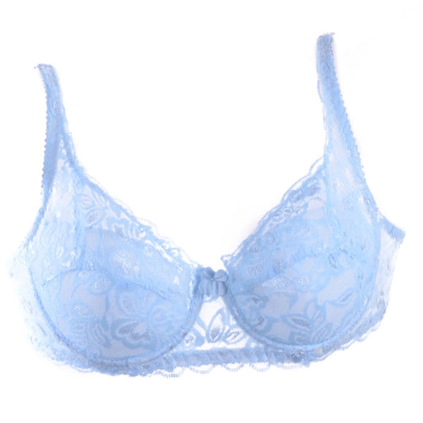 Padded Lace Sheer Bra